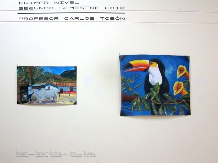 哥伦比亚麦德林佩德罗内尔戈麦斯博物馆展出的学生作品