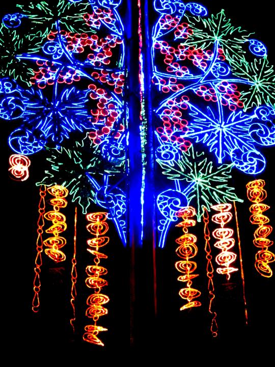 圣诞节时麦德林里约热内卢的圣诞彩灯。
