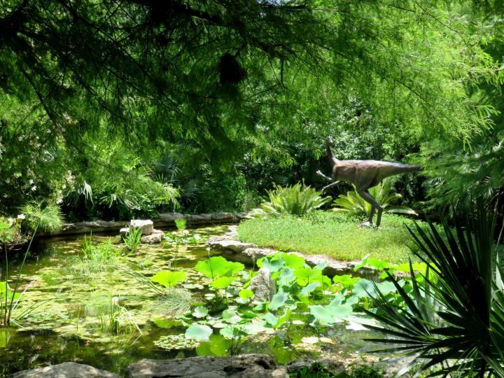 哈特曼史前花园在齐尔克植物园在奥斯汀中心TX -齐尔克大都会公园