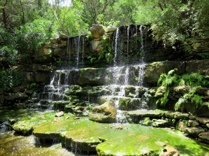 瀑布-在德克萨斯州奥斯汀市中心的齐尔克植物园的恐龙足迹史前花园附近