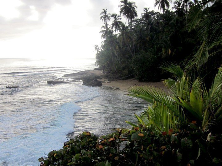 雨林丛林一直到海滩-哥斯达黎加曼萨尼约-加勒比海岸天堂