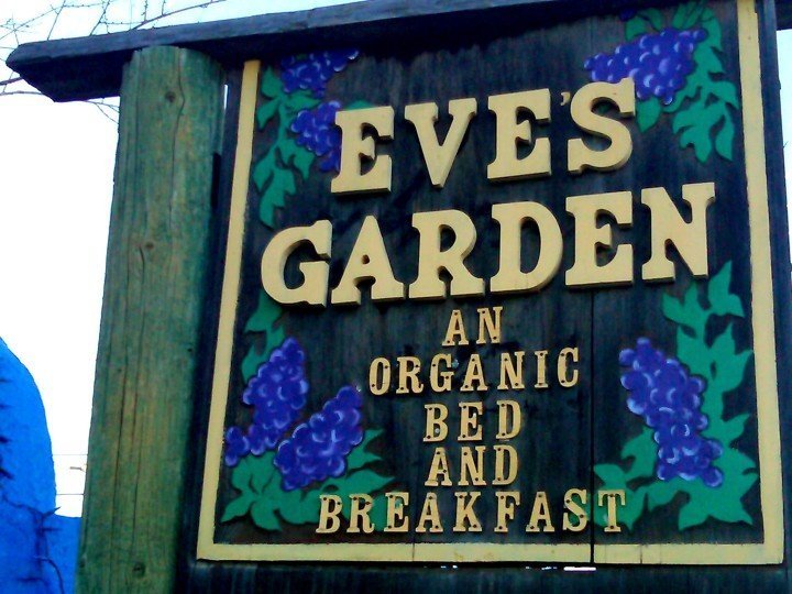 德克萨斯州马拉松的伊芙花园有机床加早餐——德克萨斯州西南部大本德国家公园附近的最佳住宿地点
