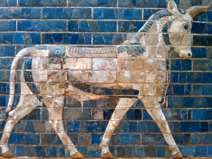欧洲野牛-一种古老的公牛-被描绘在釉面泥瓦-伊什塔尔门-伊斯坦布尔考古博物馆