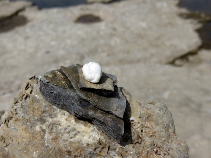 岩石艺术Remic急流渥太华河-口香糖顶部的岩石雕塑