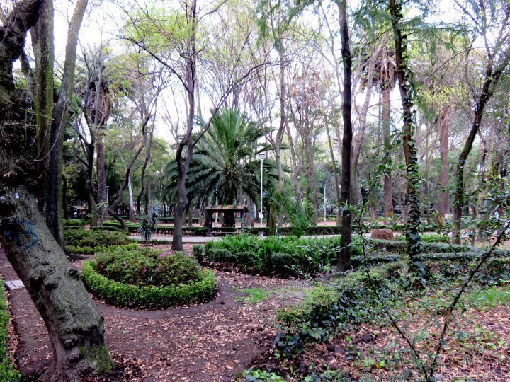 墨西哥城La Condesa的墨西哥公园。