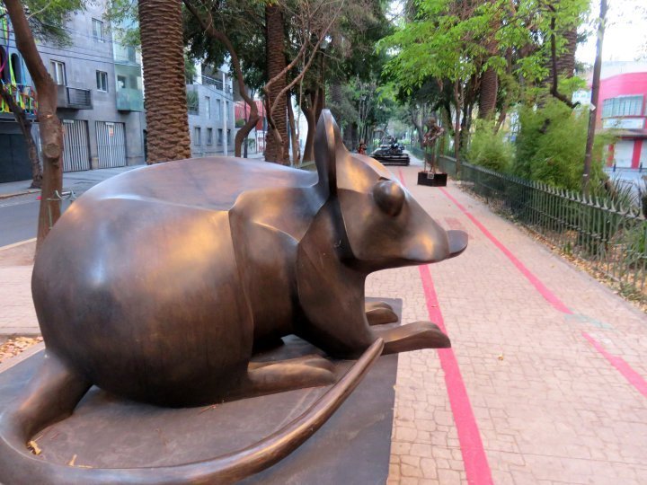 墨西哥城阿姆斯特丹大道上的老鼠雕塑。