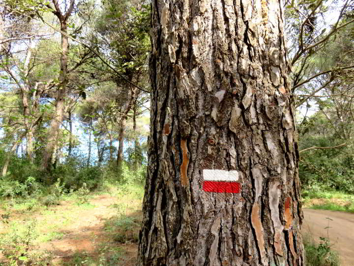 科斯塔布拉瓦徒步旅行路线-注意标记与白色条纹以上的红色条纹- GR92小道