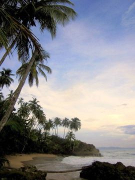 哥斯达黎加曼萨尼约清晨沿着海滩和雨林散步，看日出，听吼猴迎接新的一天