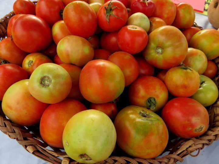 一个装满有机西红柿的柳条碗——在德克萨斯州西部的阿尔卑斯德州农贸市场
