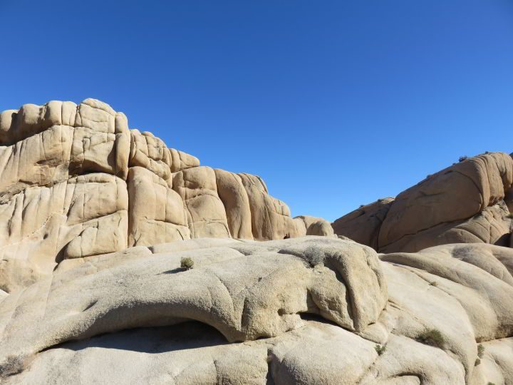 约书亚树国家公园巨型岩石露营地的巨石