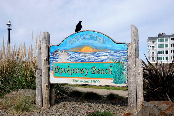 乌鸦坐在“欢迎来到洛克威海滩——建于1909年”的标志上