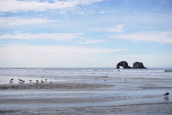 俄勒冈州洛克威海滩太平洋沿岸的拱形岩石
