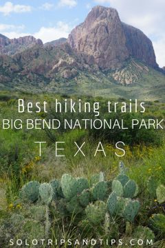 德克萨斯州大本德国家公园的最佳徒步路线，有仙人掌和山脉的形象。