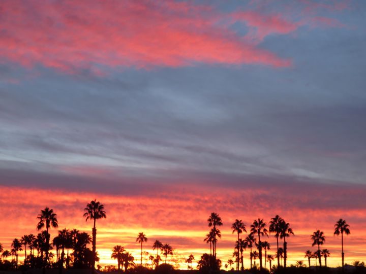 天空与棕榈泉市中心的棕榈树剪影涂上了灿烂的日落色彩