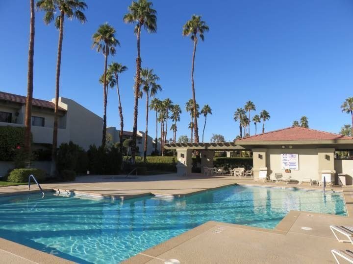 棕榈泉的冬天包括从温水游泳池欣赏棕榈树的景色