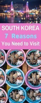 你需要去韩国的7个理由。