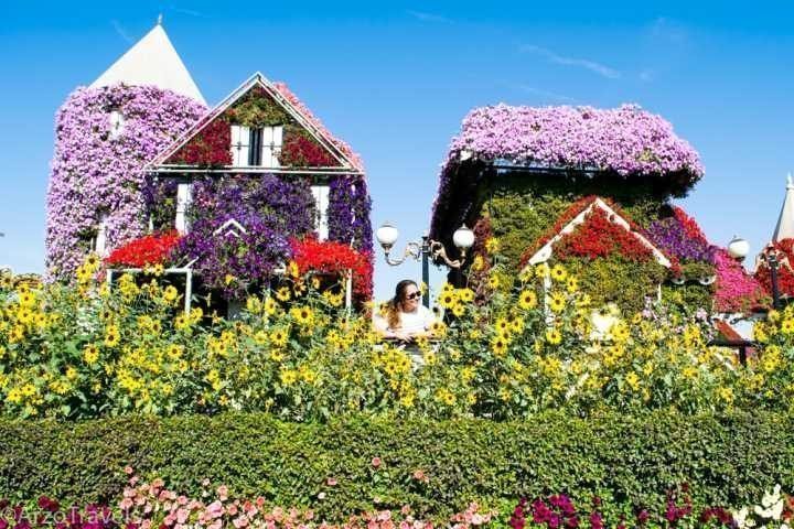 迪拜女性独自旅行——参观奇迹花园，世界上最大的花园在迪拜和阿联酋