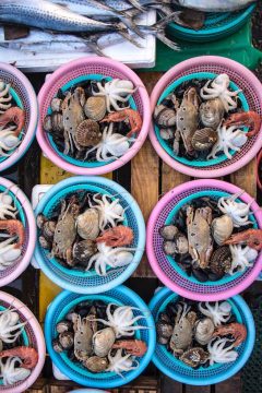 在韩国釜山的雅卡尔奇市场，新鲜的海鲜陈列在五颜六色的篮子里