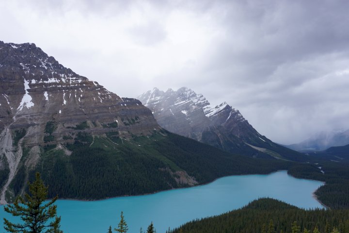 冰川滋养了加拿大阿尔伯塔省班夫国家公园的佩托湖——加拿大最好的自驾旅行之一金博宝188官网2020欧洲杯