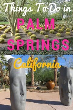沙漠植物园和户外雕塑花园是加州棕榈泉可以做的事情之一。这篇指南介绍了棕榈泉的所有顶级景点，在那里吃、喝、住和玩