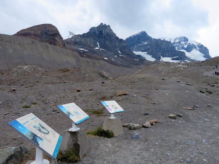 信息板在脚趾的阿萨巴斯卡冰川徒步旅行-冰原公园路。自由步行到加拿大落基山脉冰川底部的最佳选择