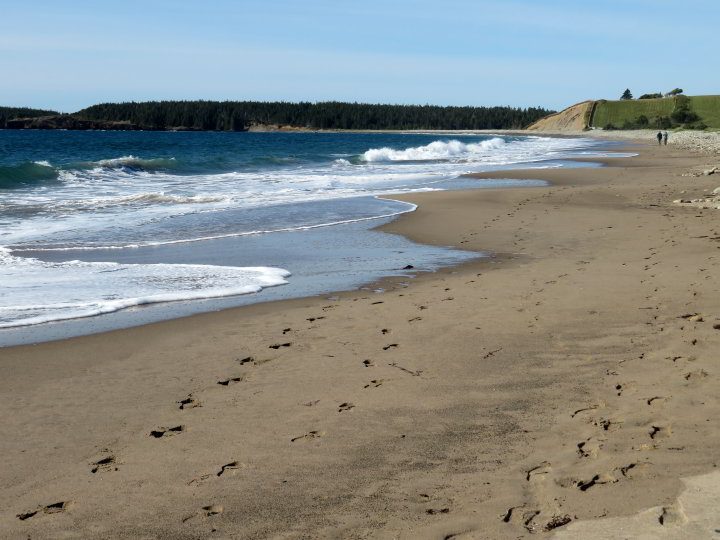 Hirtle's Beach Gaff Point远足路线就从海滩开始。