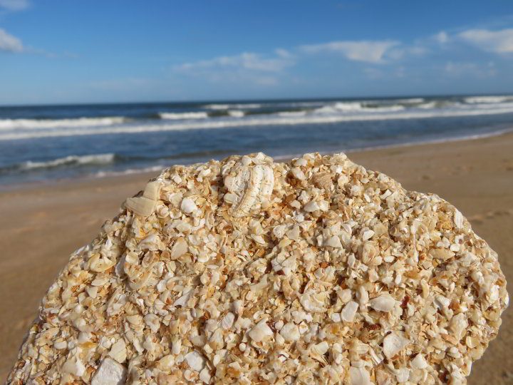 华盛顿橡树园州立公园海滩上的小奥金石