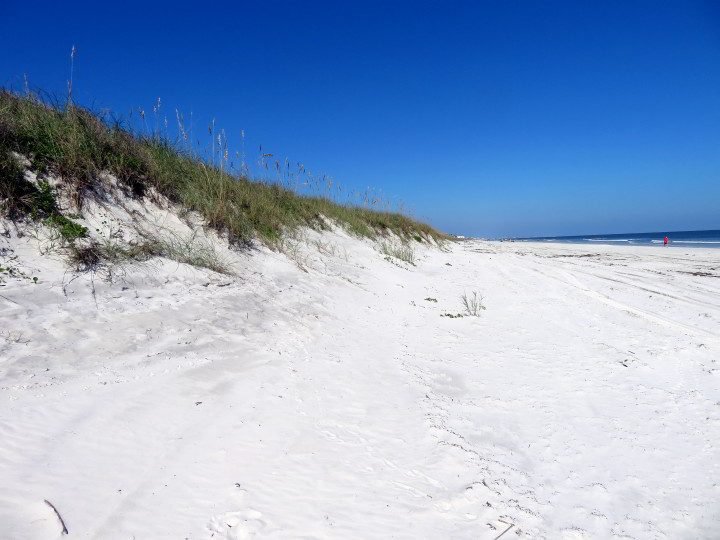 佛罗里达州圣奥古斯丁新月海滩上的沙丘