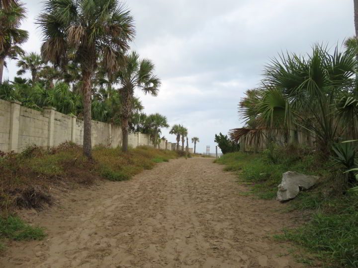 佛罗里达州米克勒海滩的沙滩步道两旁是棕榈树。