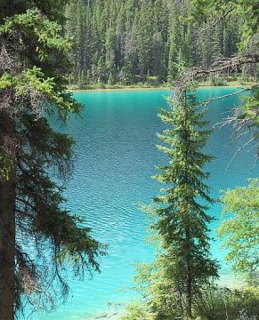 海蓝宝石到蓝绿色的冰川水在山谷的五湖远足径在贾斯珀阿尔伯塔