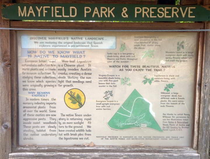 关于梅菲尔德公园努力恢复公园的原生景观的信息板