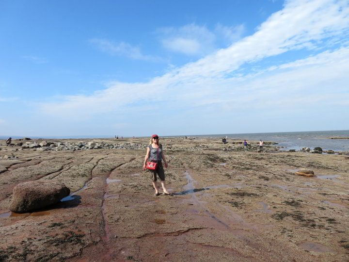 芬迪湾Burntcoat Head公园退潮时，一位女士站在海底。