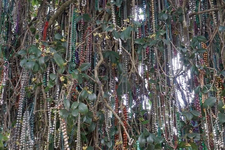 五彩缤纷的狂欢节珠子挂在树上。