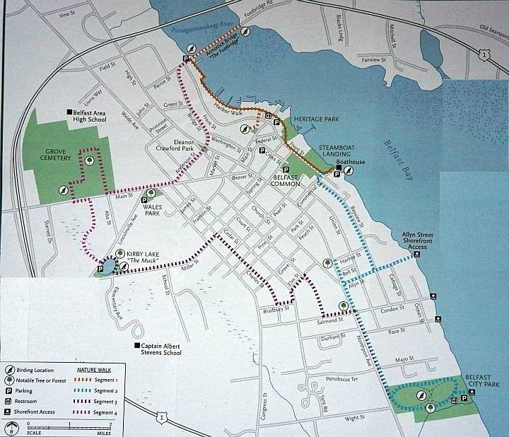 缅因州贝尔法斯特市区自然步道地图，有4个部分，形成一个5英里的循环
