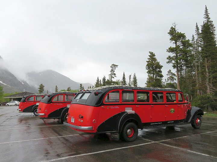 冰川国家公园的历史红色巴士之旅-所有车辆都来自20世纪30年代