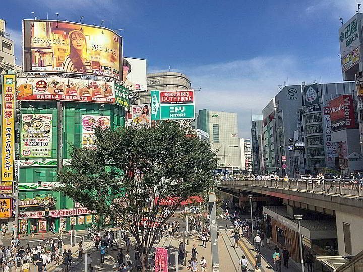 日本东京对独自旅行者来说是个挑战118bet金博宝