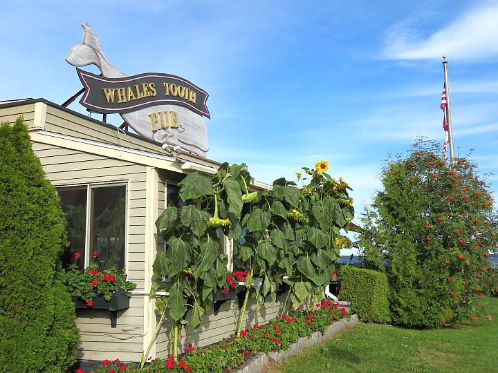 鲸鱼的牙齿酒吧在林肯维尔缅因州提供海滨用餐体验