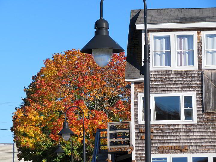 缅因州贝尔法斯特的秋叶在蓝天和饱经风霜的建筑的映衬下显得灿烂夺目