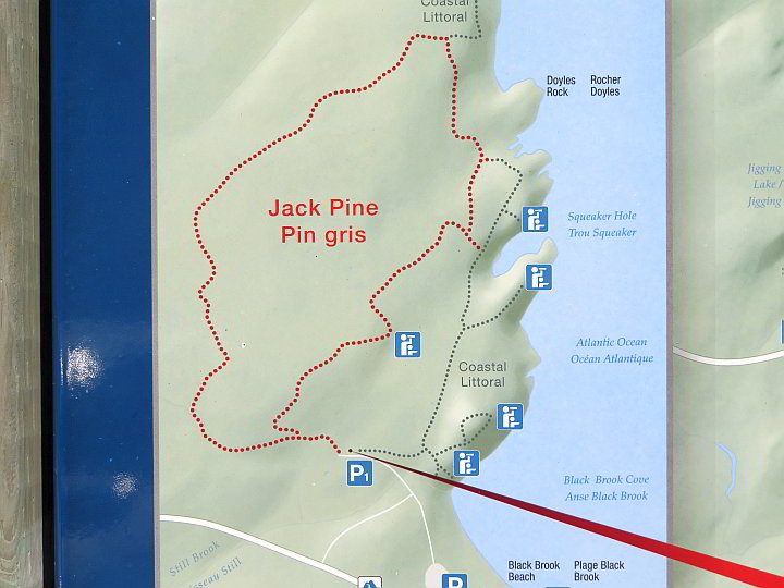 杰克派恩步道地图显示了一条环形步道和海岸步道上的几个瞭望台