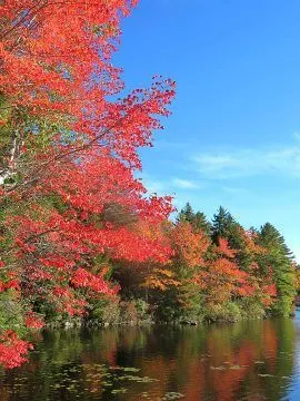 新英格兰的秋天意味着树叶开始变成明亮的颜色，如黄色、橙色和红色