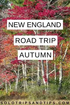 新英格兰公路之旅在秋天的高峰叶时间