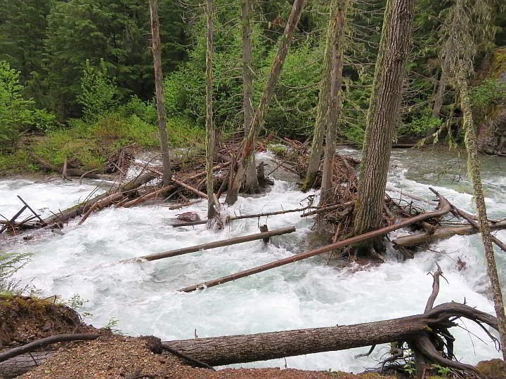 雪崩溪在六月初水流湍急。