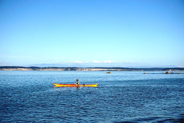 Kayaking是PortTownsend和Puget声音的热门活动