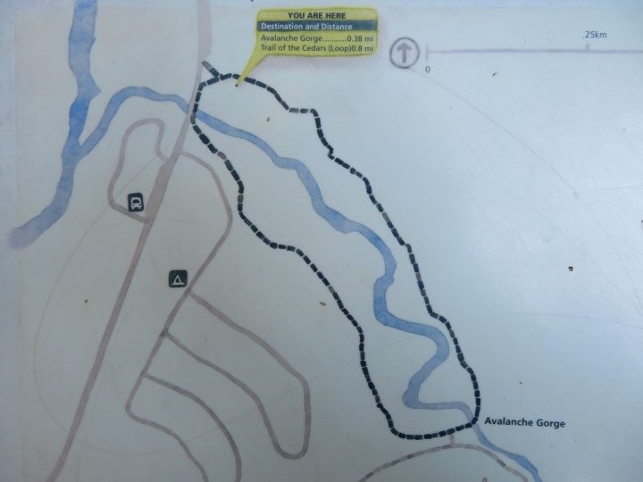雪松小径地图的徒步路线沿雪崩溪和雪崩峡谷在冰川公园MT