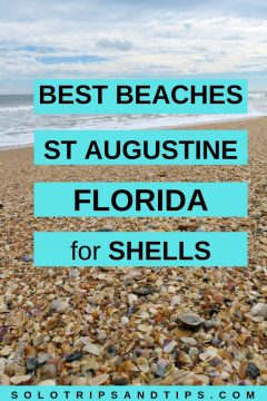 最好的海滩是佛罗里达州的圣奥古斯丁的贝壳