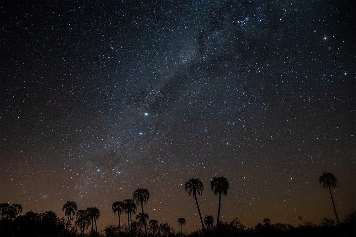 阿根廷的夜空中有成千上万颗星星