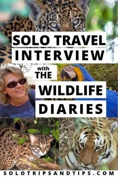 118bet金博宝与野生动物日记旅行博客的单独旅行采访