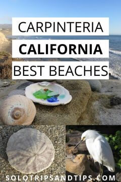加州最好的海滩