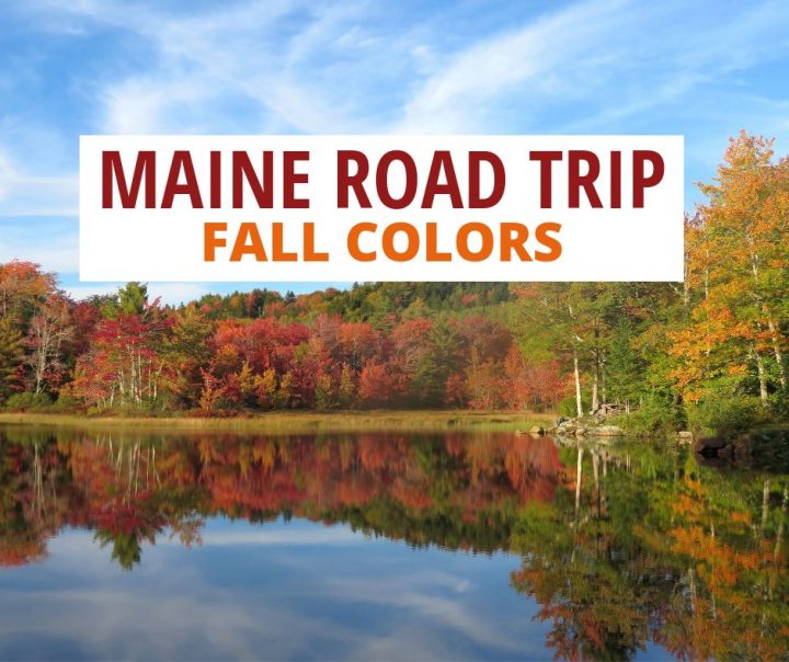 缅因州公路旅行秋天的颜色。