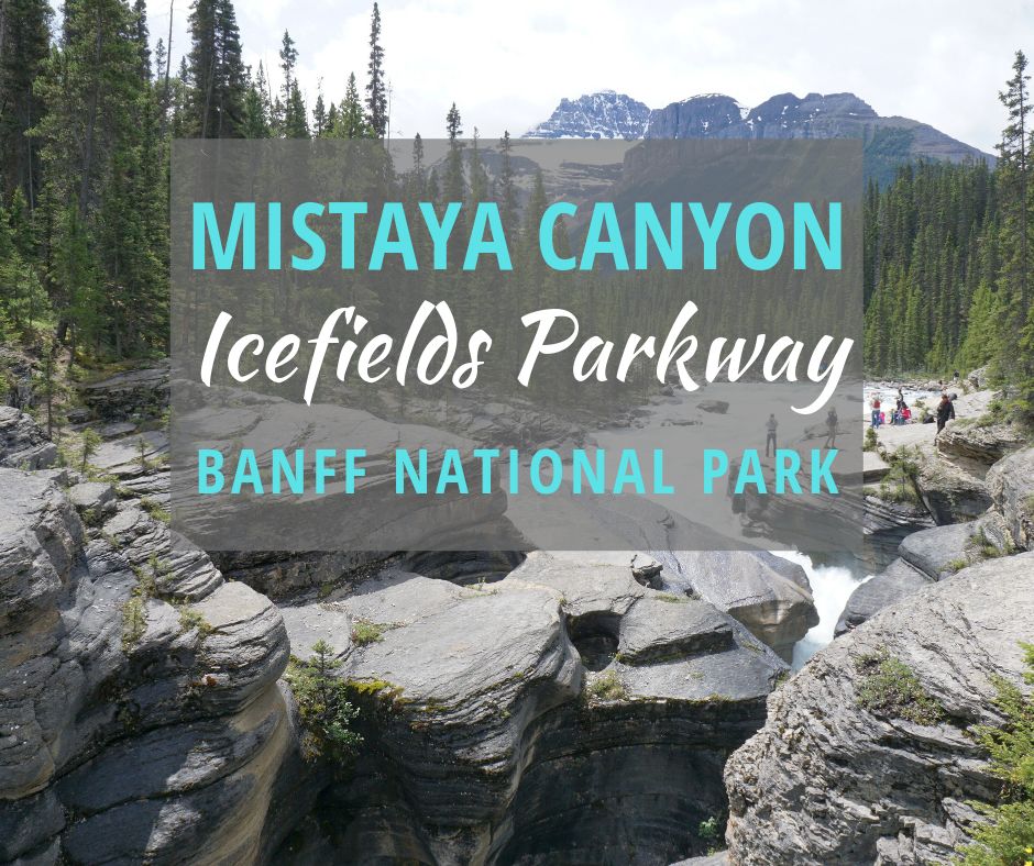 米斯塔亚峡谷冰原公园路班夫国家公园